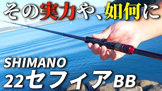 この値段で本当に使える？シマノの大人気エギングモデル、セフィアBBを購入してみました。 [upl. by Ueihtam]