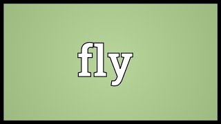 Fly Meaning [upl. by Esimorp770]