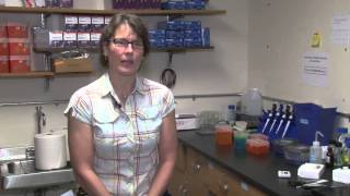 Dr Nadja Spitzer receives prestigious NSF CAREER award [upl. by Akienat]