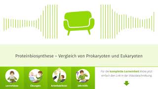 Proteinbiosynthese – Der Vergleich von Prokaryoten und Eukaryoten [upl. by Elocan]