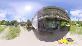 Yubu Island Bougainvillaea Garden  360 degrre video [upl. by Beltran]