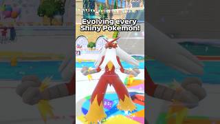 SHINY Torchic Evolution to Blaziken ✨ pokemon shinypokemon pokémon [upl. by Bridwell656]